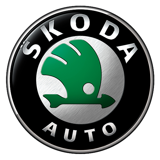 Ремонт топливных насосов Skoda