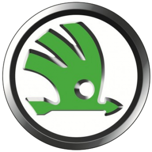 Ремонт дизелей Skoda